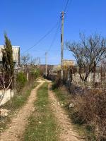 улица,соседи живут