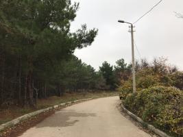 дорога